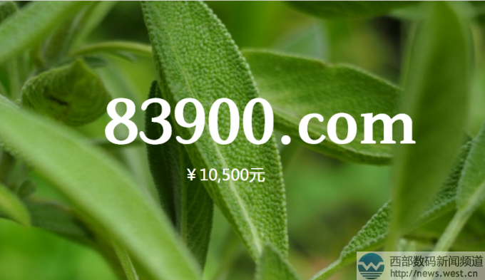 83900.com